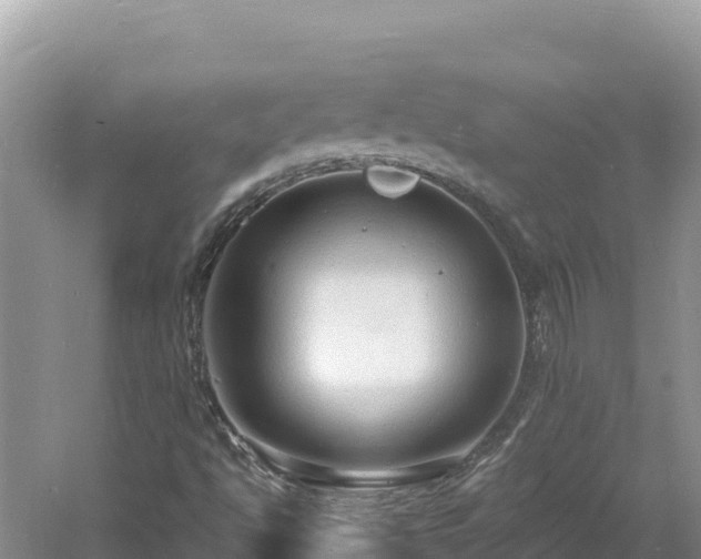 X0000060811494200511171254