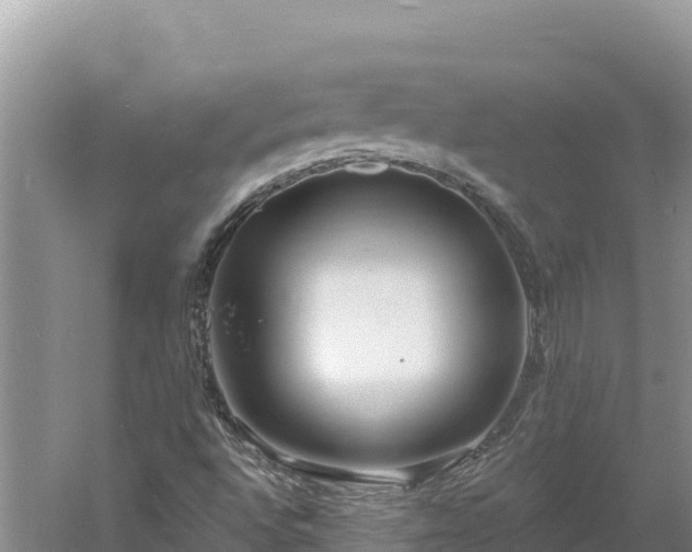 X0000060811496200511171254