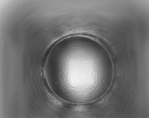 X0000060811497200511171254