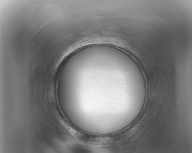 X0000060811498200511171254