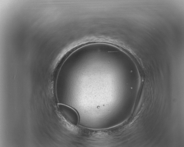 X0000060811503200511171254