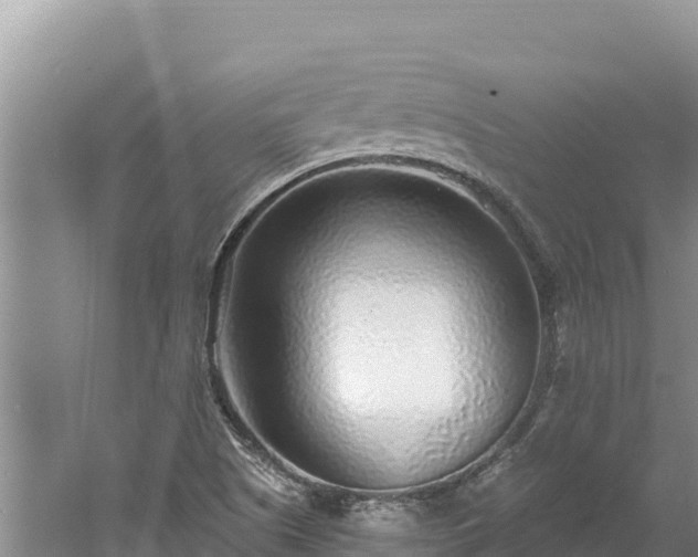 X0000060811505200511171254