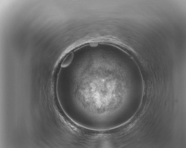 X0000060811506200511171254