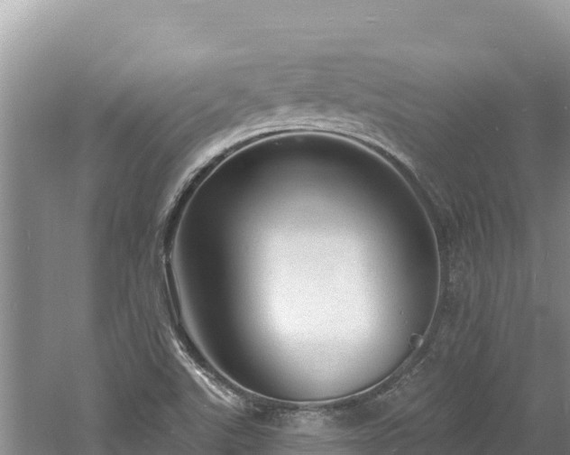 X0000060811507200511171254