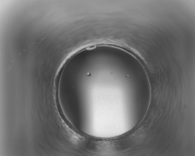 X0000060811508200511171254