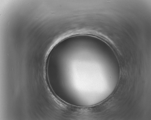 X0000060811512200511171254