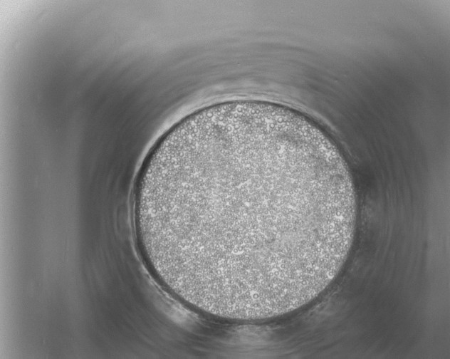 X0000060811514200511171254