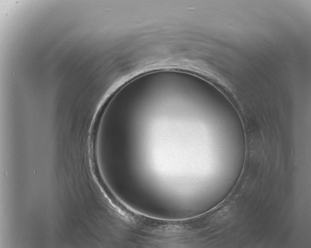 X0000060811517200511171255