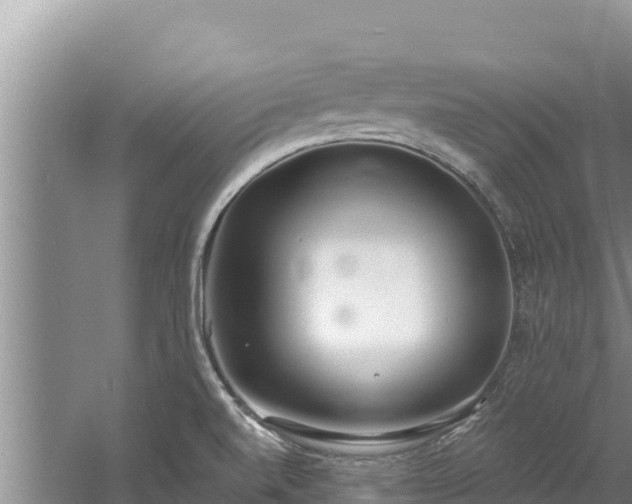 X0000060811520200511171255