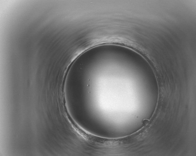 X0000060811521200511171255