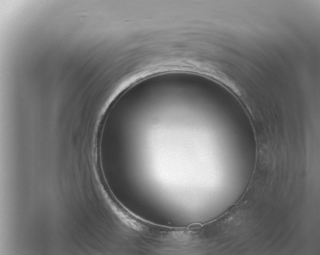 X0000060811523200511171255