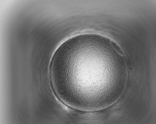 X0000060811527200511171255