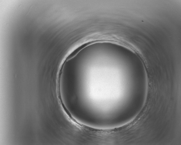 X0000060811528200511171255