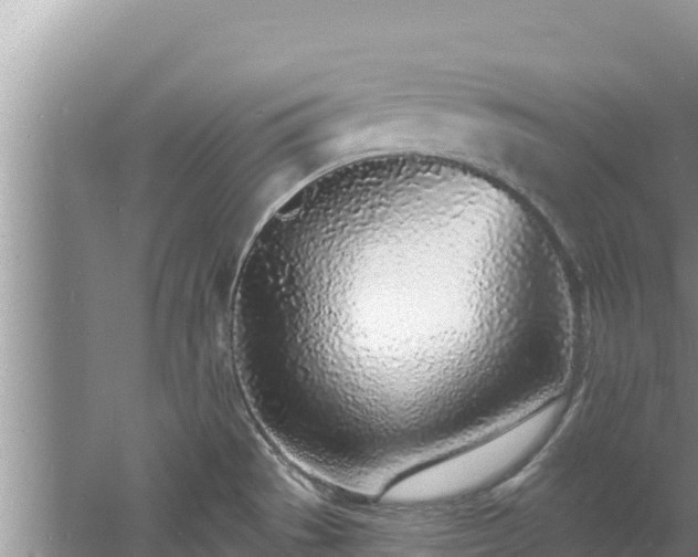 X0000060811529200511171255