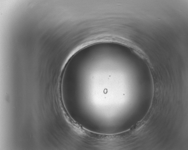 X0000060811530200511171255