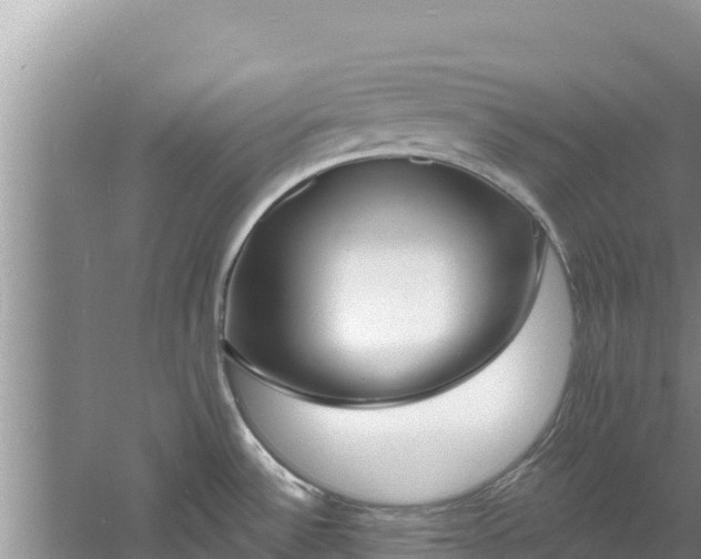 X0000060811532200511171255