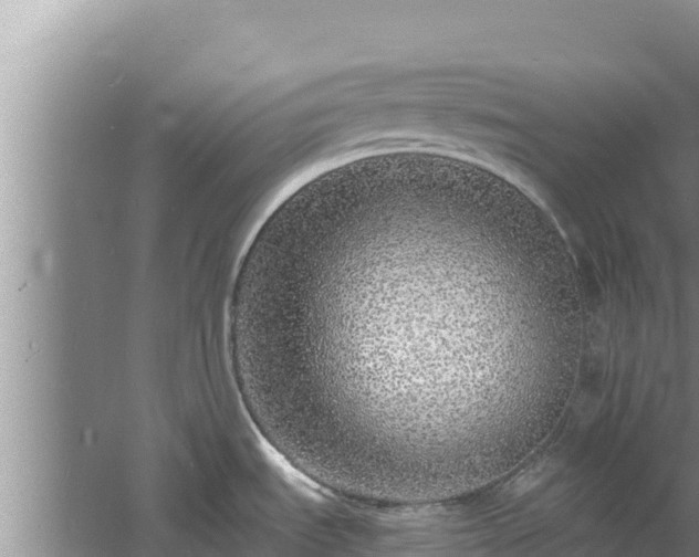 X0000060811535200511171255