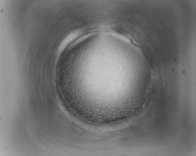 X0000060810006200511241947