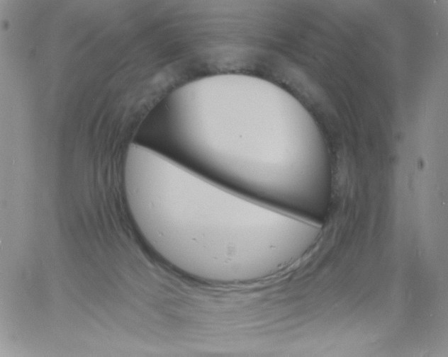 X0000060810025200511241947