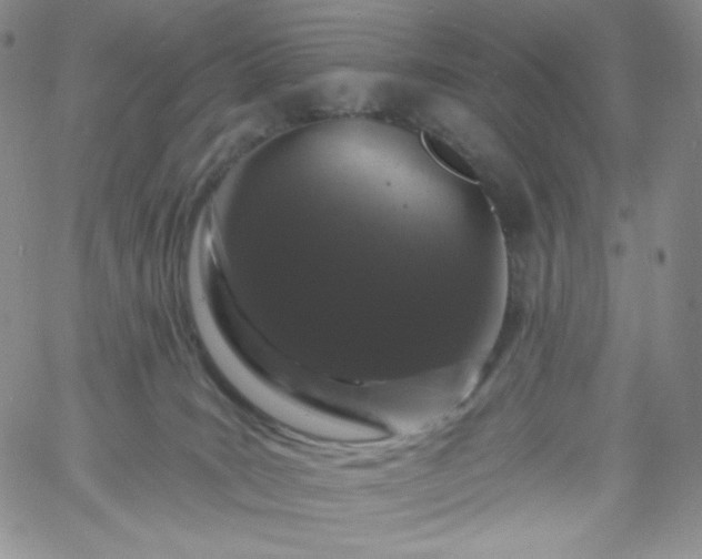 X0000060810035200511241946