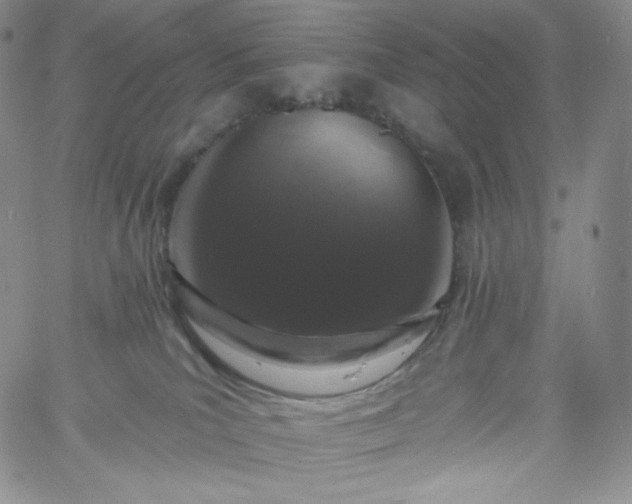 X0000060810039200511241946