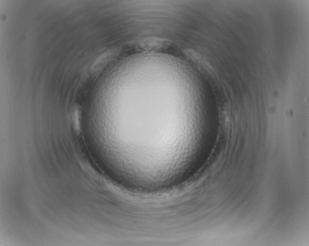 X0000060810042200511241946