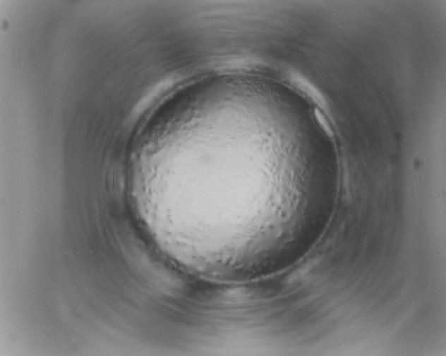 X0000060810059200511241946