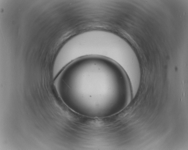 X0000060810071200511241946