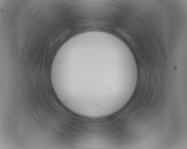 X0000060810077200511241946