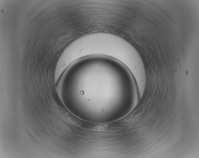 X0000060810080200511241946