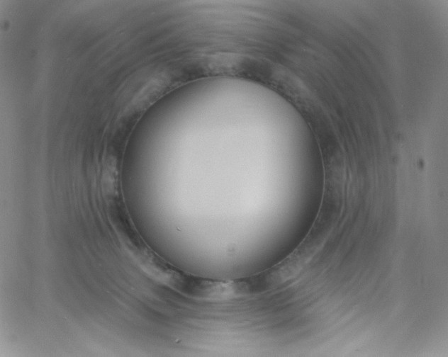 X0000060810083200511241946