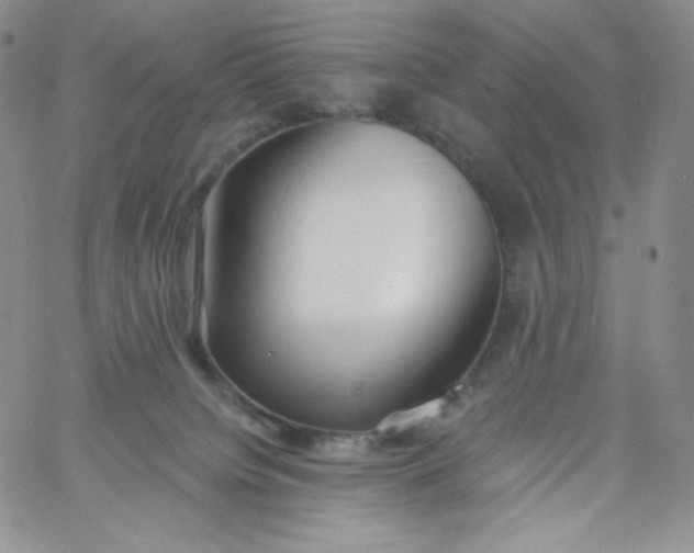 X0000060810084200511241946