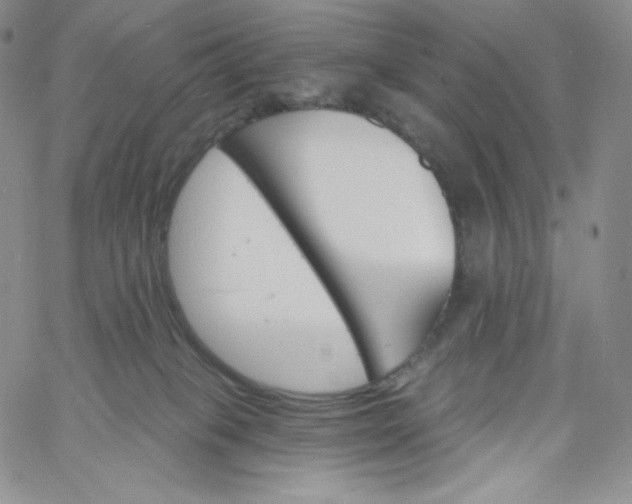 X0000060810085200511241946