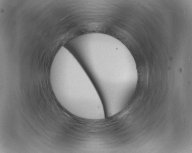 X0000060810089200511241946