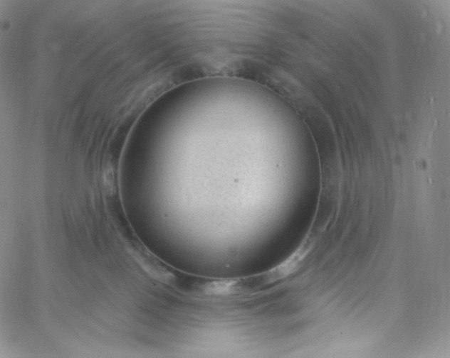 X0000060810090200511241946