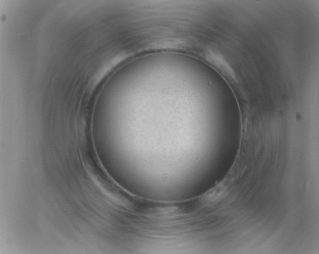 X0000060810108200511241945