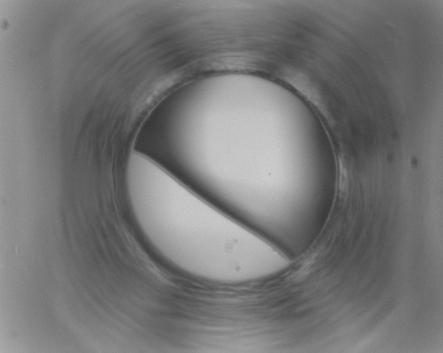 X0000060810109200511241945