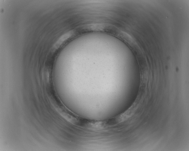 X0000060810120200511241945
