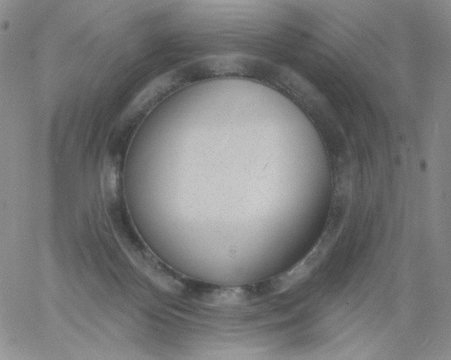 X0000060810124200511241945