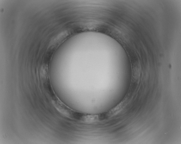 X0000060810126200511241945