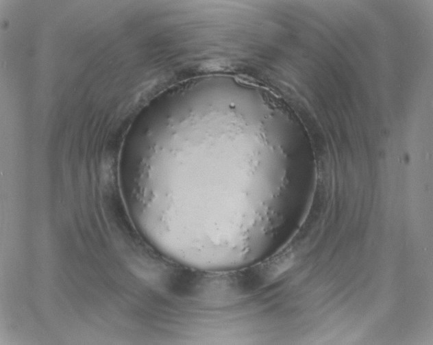 X0000060810127200511241945