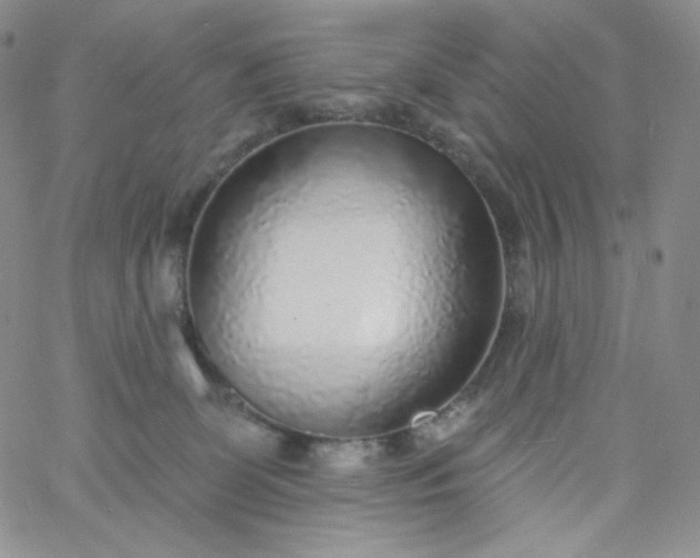 X0000060810131200511241945