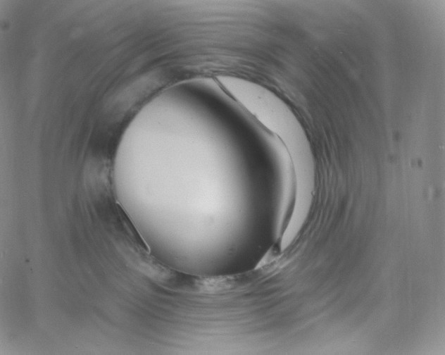 X0000060810141200511241945
