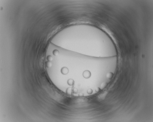 X0000060810153200511241944