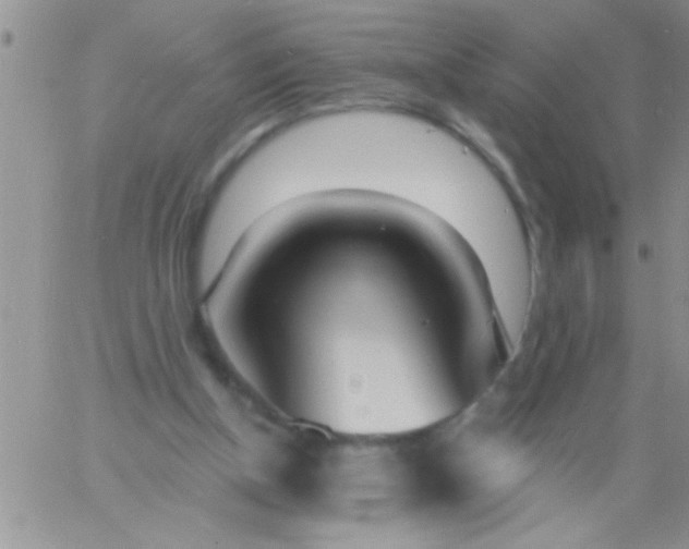 X0000060810154200511241944