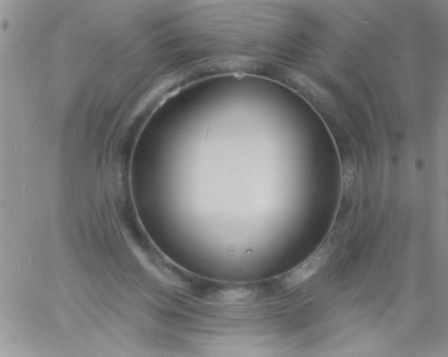 X0000060810158200511241944