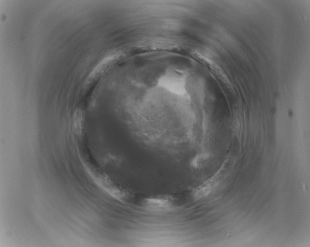 X0000060810167200511241944