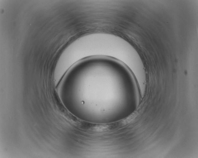 X0000060810172200511241944