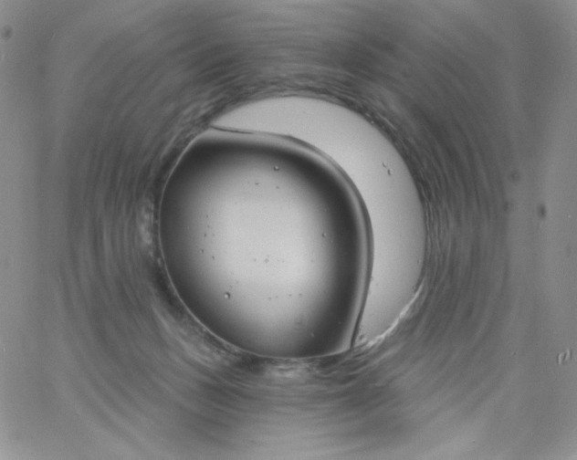 X0000060810175200511241944