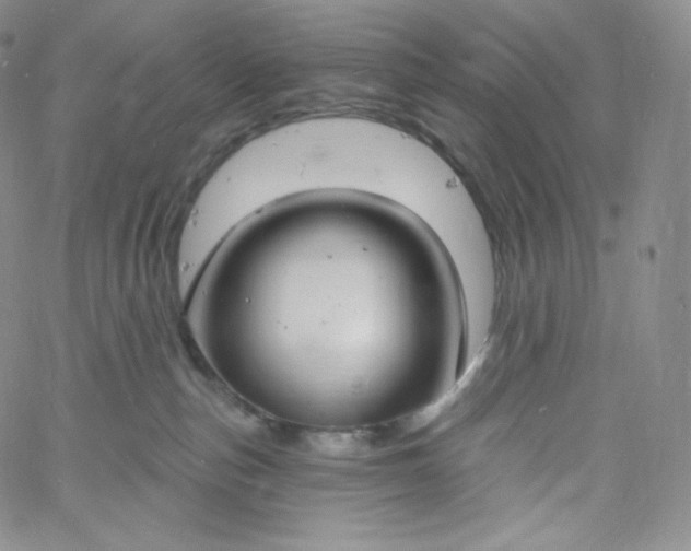 X0000060810187200511241945